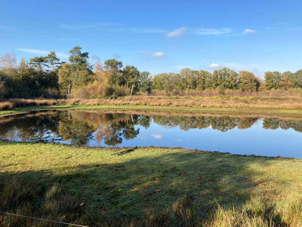B&B De Grote Plaats Hoogstraten Exteriör bild