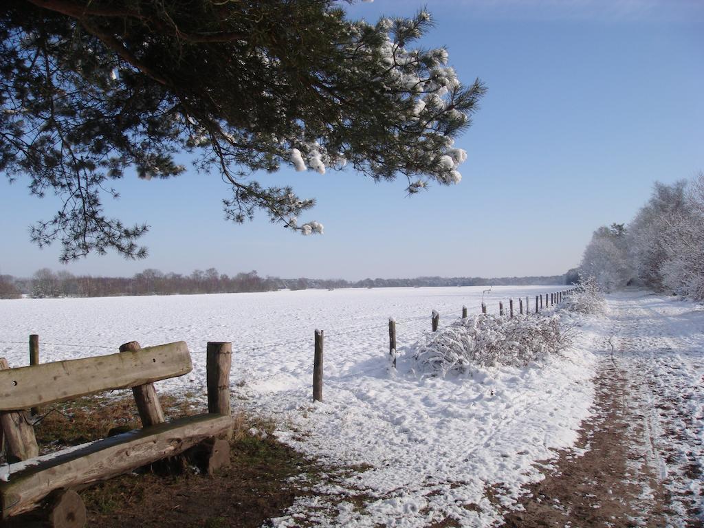 B&B De Grote Plaats Hoogstraten Exteriör bild