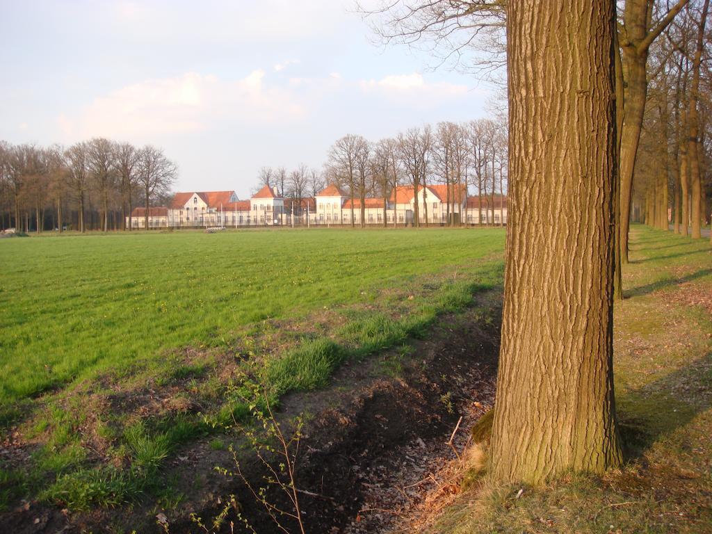 B&B De Grote Plaats Hoogstraten Exteriör bild
