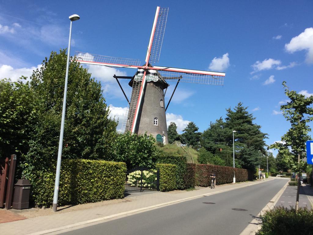 B&B De Grote Plaats Hoogstraten Exteriör bild