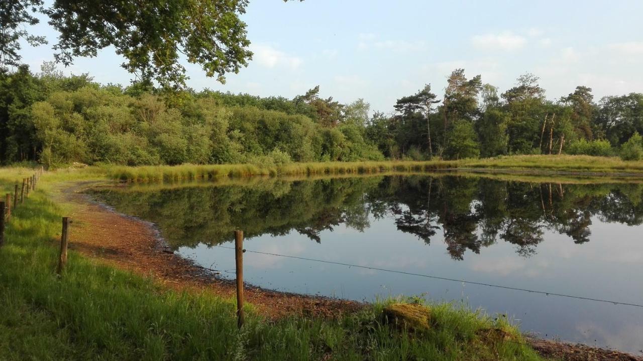 B&B De Grote Plaats Hoogstraten Exteriör bild